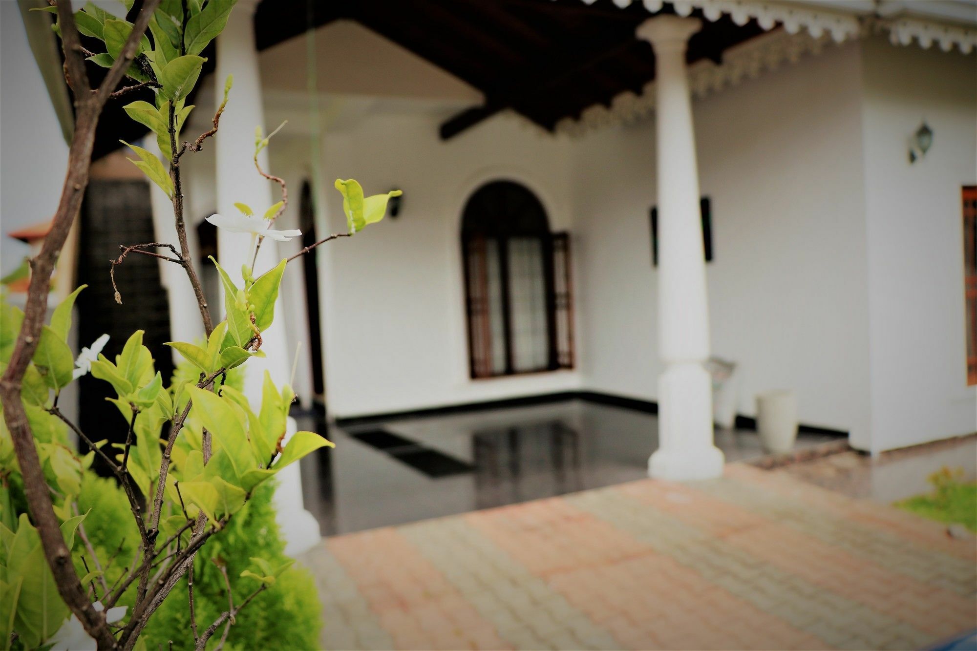 Eos Hostels Ettukala Dış mekan fotoğraf